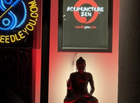 Holistic Wellness for Busy Professionals: Acupuncture Stress Relief in Delray Beach & Boca Raton