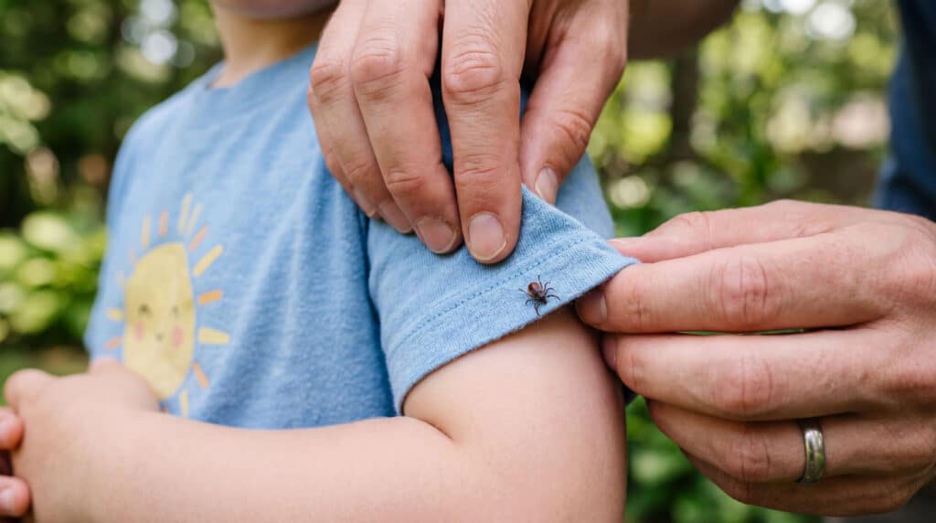 Parent checking a child's arm for a tick outdoors to help prevent Lyme disease